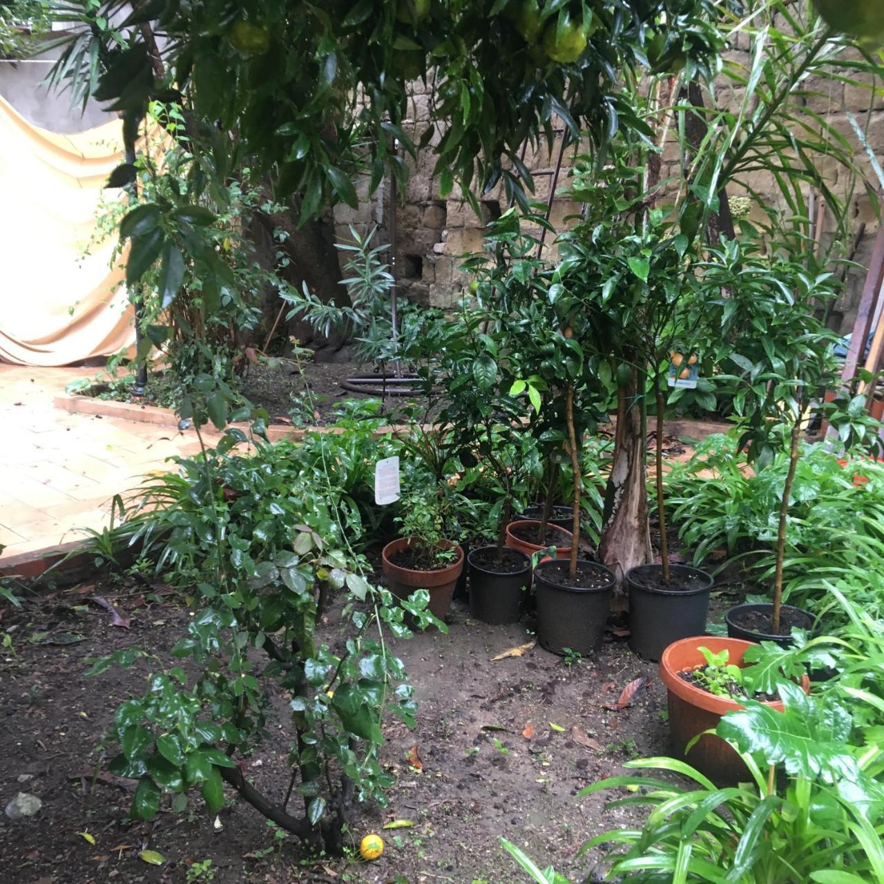 مبيت وإفطار نابولي Il Giardino Di Daphne المظهر الخارجي الصورة